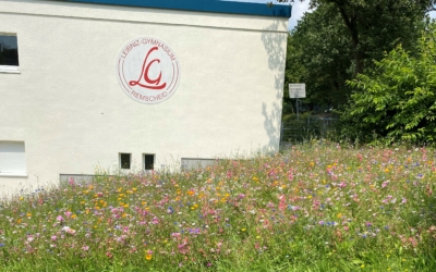 Neue Termine und dann: Schöne Sommerferien!