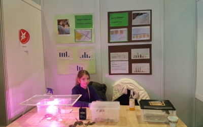Sarah experimentiert und gewinnt!